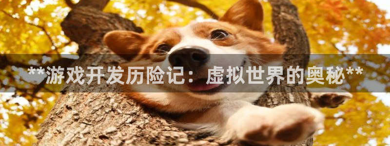 沐鸣2登录官方登录网站