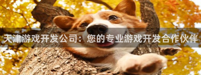 沐鸣娱乐2官方平台是什么