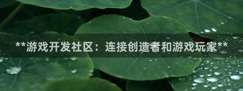 沐鸣娱乐2官网网址
