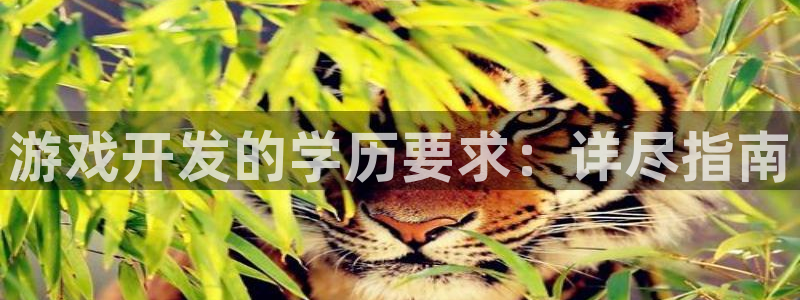 沐鸣2注册地址