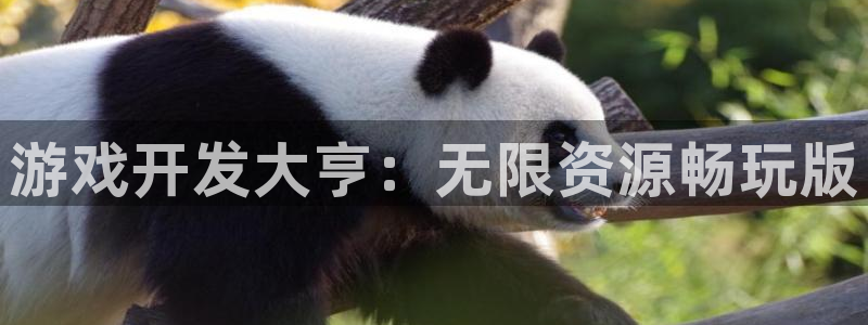 沐鸣代理22927