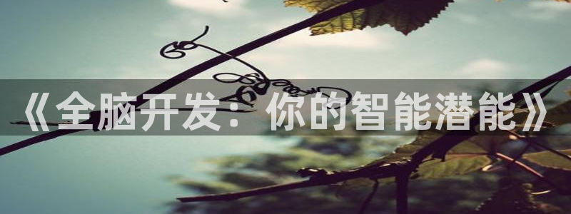 《全脑开发：你的智能潜能》