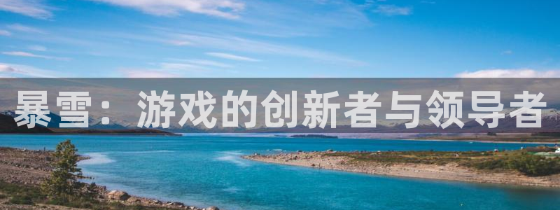 沐鸣2登录官方登录网站：暴雪：游戏的创新者与领导者