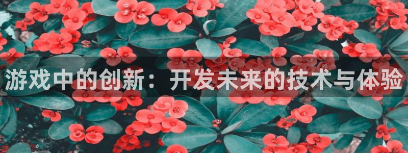 沐鸣2注册登录：游戏中的创新：开发未来的技术与体验