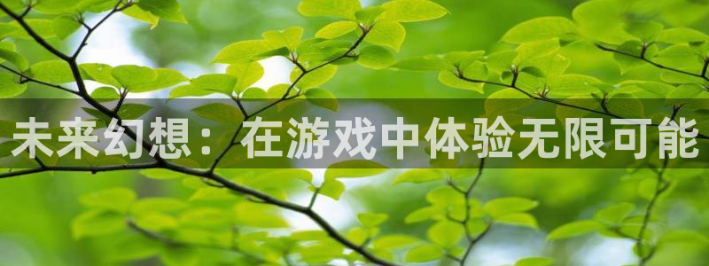 沐鸣娱乐2手机下载破解版：未来幻想：在游戏中体验无限可能