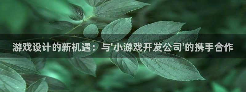 沐鸣娱乐2输钱了：游戏设计的新机遇：与\'小游戏开发公司\'的携手合作