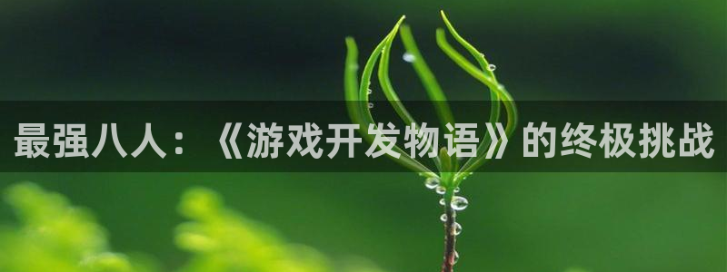 沐鸣娱乐2黑客户吗：最强八人：《游戏开发物语》的终极挑战
