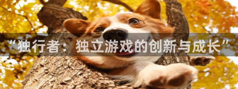 沐鸣2平台主管代理：“独行者：独立游戏的创新与成长”
