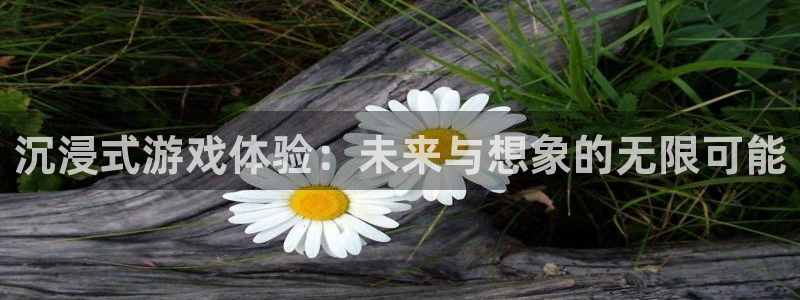 沐鸣2选 37OO735：沉浸式游戏体验：未来与想象的无限可能