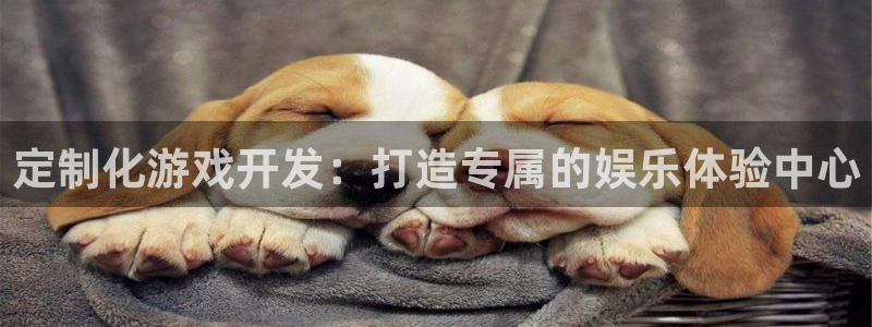 沐鸣2代理官网：定制化游戏开发：打造专属的娱乐体验中心