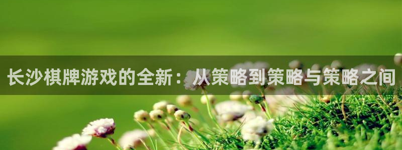 沐鸣娱乐2在线注册：长沙棋牌游戏的全新：从策略到策略与策略之间