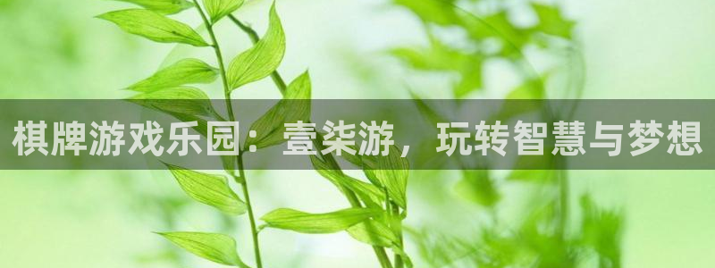 沐鸣2注册平台：棋牌游戏乐园：壹柒游，玩转智慧与梦想