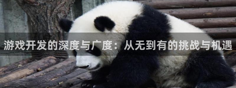 沐鸣2app：游戏开发的深度与广度：从无到有的挑战与机遇