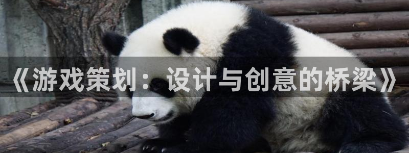 沐鸣2代理求27337