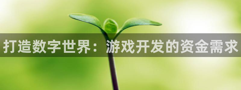 沐鸣娱乐2l怎么样：打造数字世界：游戏开发的资金需求