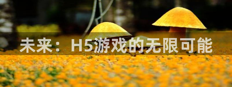 沐鸣2平台官网登录：未来：H5游戏的无限可能