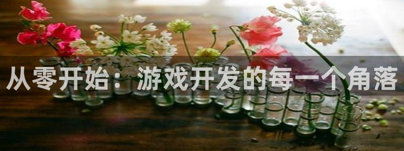 沐鸣2平台代理注册：从零开始：游戏开发的每一个角落