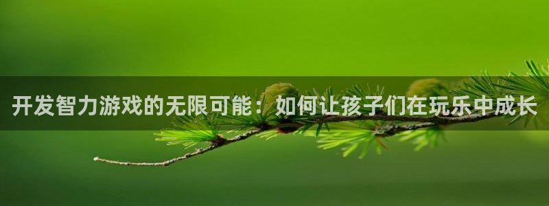 沐鸣2平台负责人：开发智力游戏的无限可能：如何让孩子们在玩乐中成长