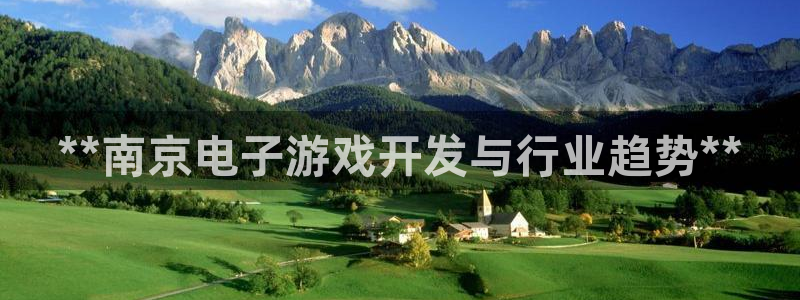 沐鸣娱乐2官方平台：**南京电子游戏开发与行业趋势**