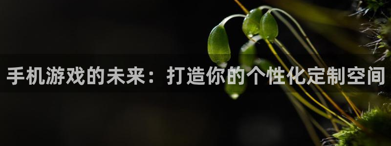 沐鸣2平台是杏彩的吗：手机游戏的未来：打造你的个性化定制空间