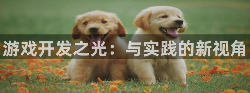 沐鸣娱乐2登录：游戏开发之光：与实践的新视角