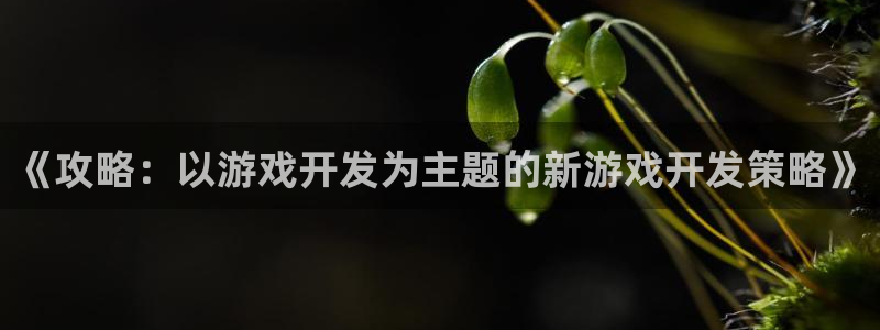 沐鸣娱乐2输钱了