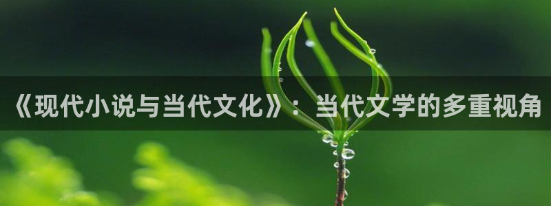 52书库官网版下载：《现代小说与当代文化》：当代文学的多重视角