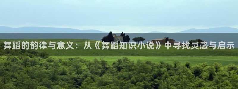 52书库首页：舞蹈的韵律与意义：从《舞蹈知识小说》中寻找灵感与启示